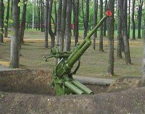 Зенитная пушка 37-мм, опытная  системы Чарнко-Комарицкого (Поклонная гора).JPG