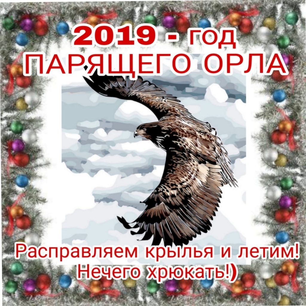 Парящий орёл символ славян в 2019 году !.jpg