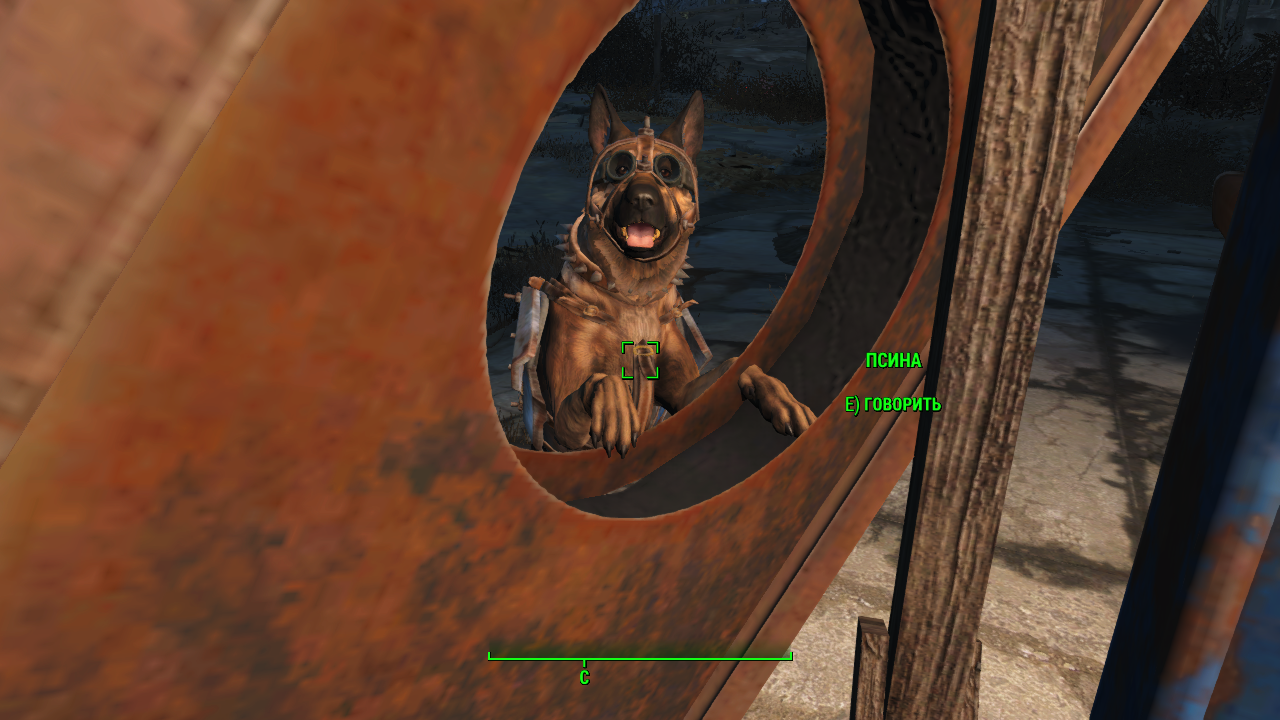 Fallout-gif-Fallout-фэндомы-Dogmeat-2032620.png