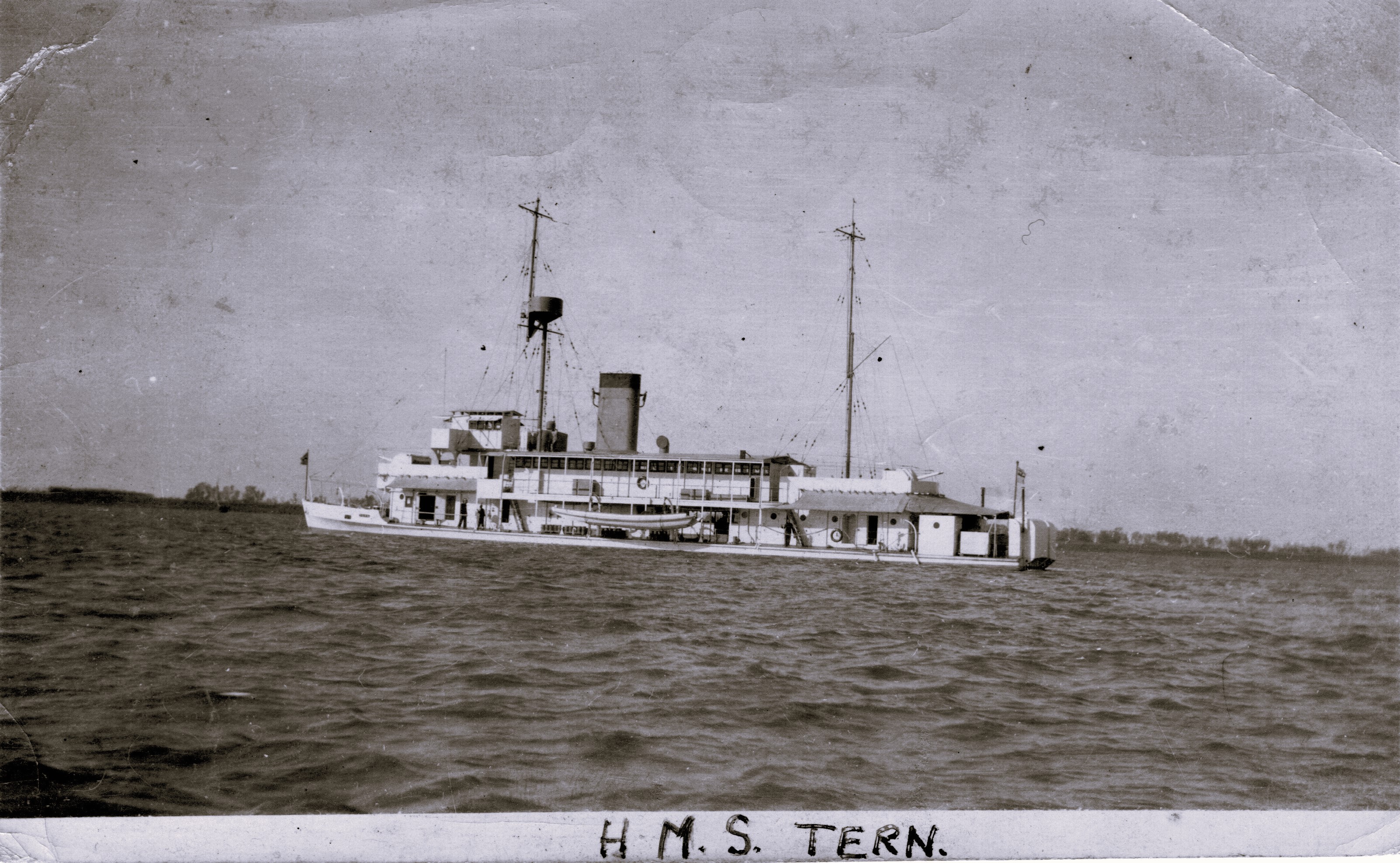Tern_1931 г.jpg